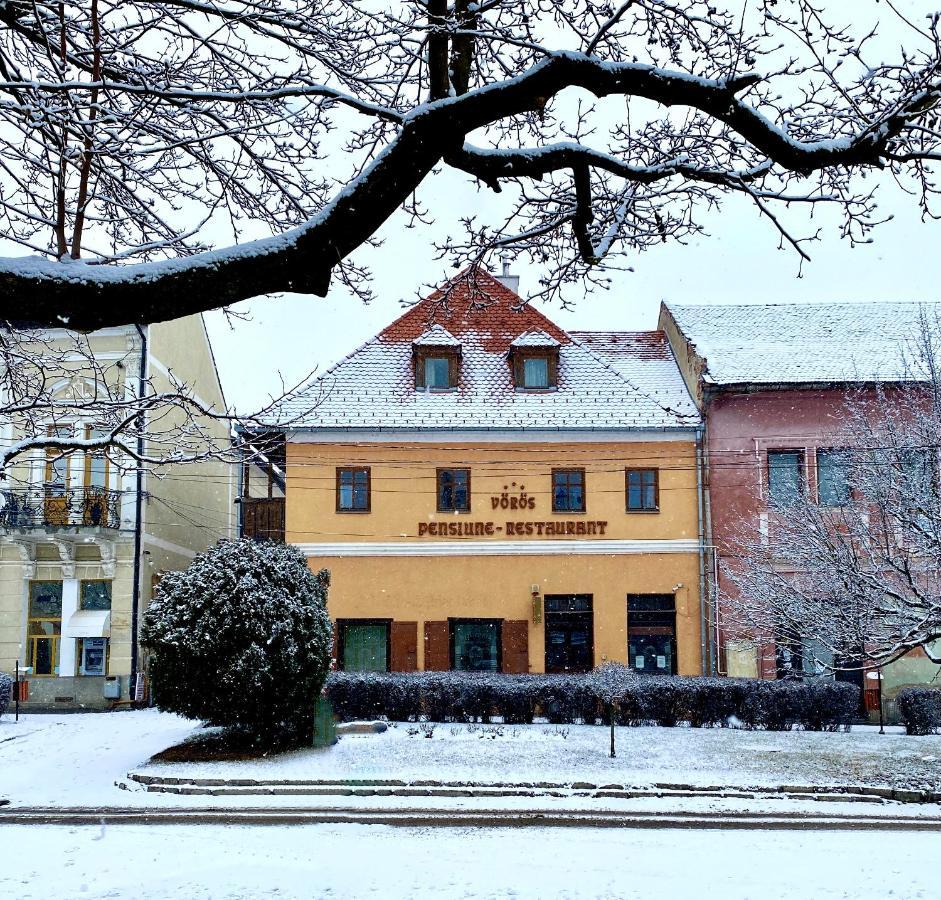 Voeroes Guest House Tîrgu Secuiesc Exterior foto